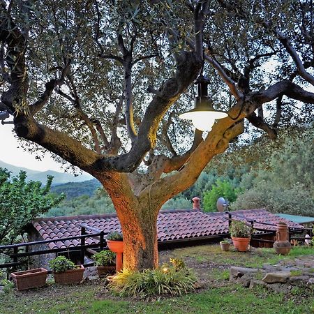 Terrazza Degli Angeli Villa Ascea Eksteriør bilde