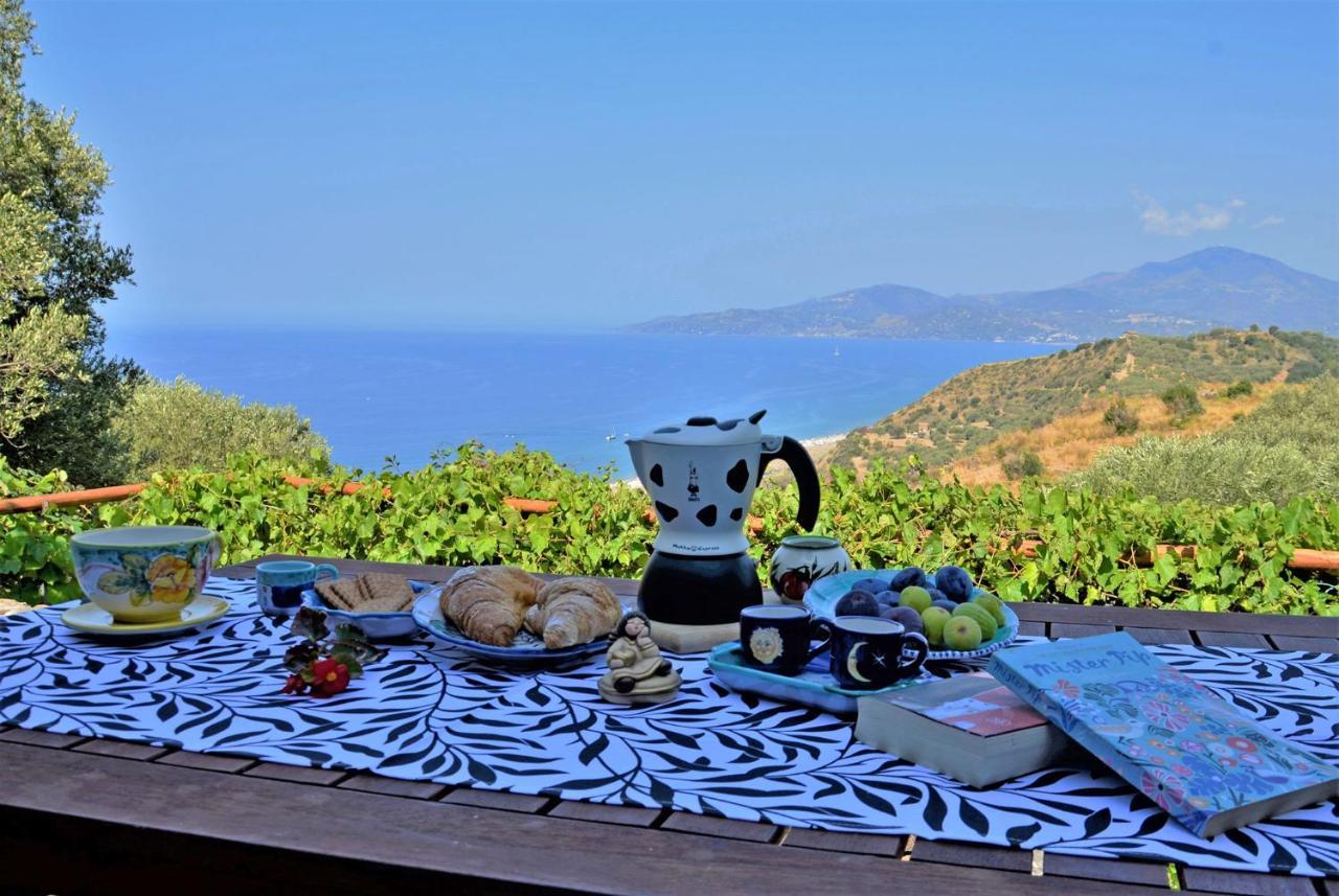 Terrazza Degli Angeli Villa Ascea Eksteriør bilde